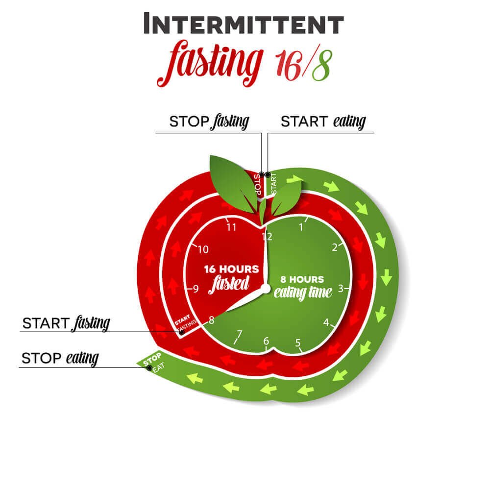 intermittent-fasting-16-8